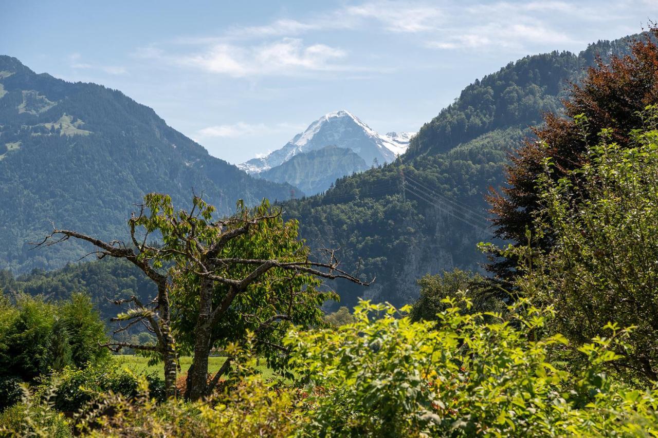 Salzano Basic Rooms Interlaken Eksteriør bilde
